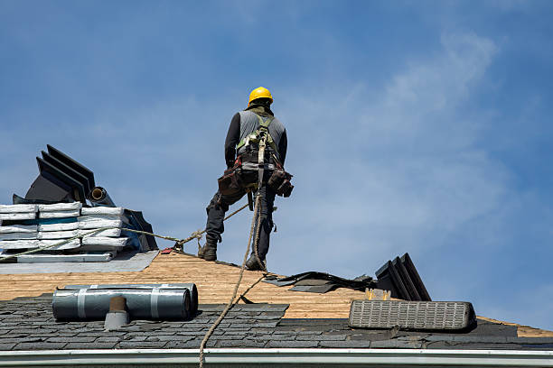 Professional Gutter Installation technician working in Stratford, WA